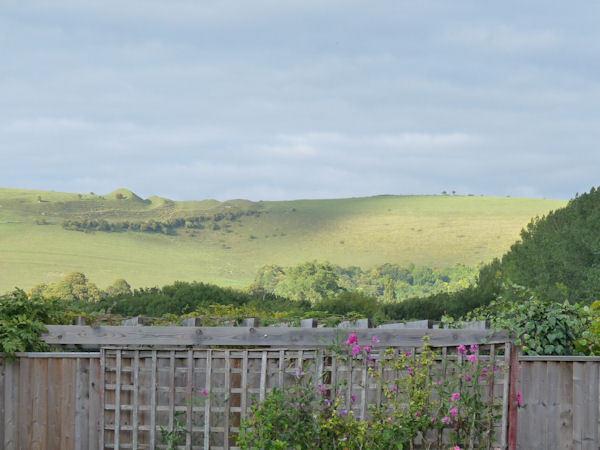 The Willows Shillingstone Exterior photo